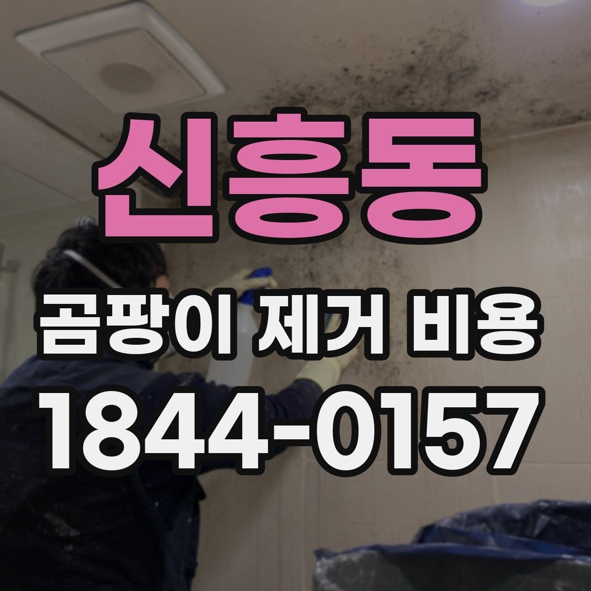 신흥동 곰팡이 제거 비용 부분 보수와 전체 시공을 구분하는 방법