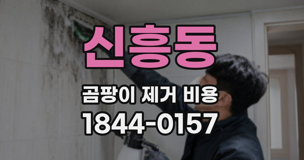 신흥동 곰팡이 제거 비용