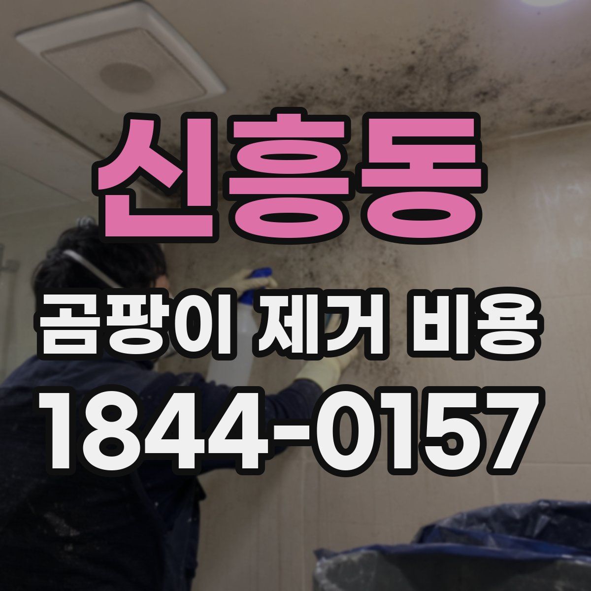 신흥동 곰팡이 제거 비용