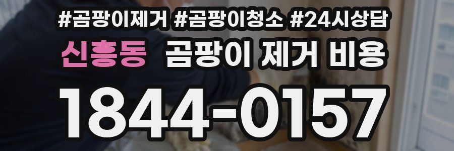 신흥동 곰팡이 제거 비용