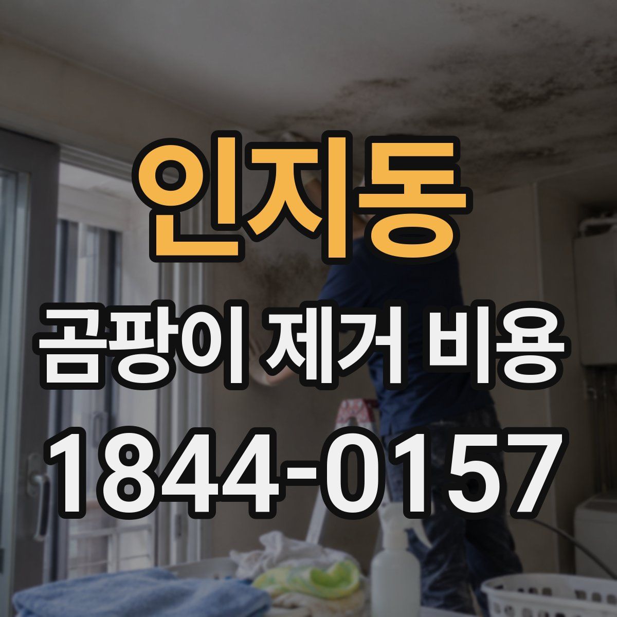 인지동 곰팡이 제거 비용