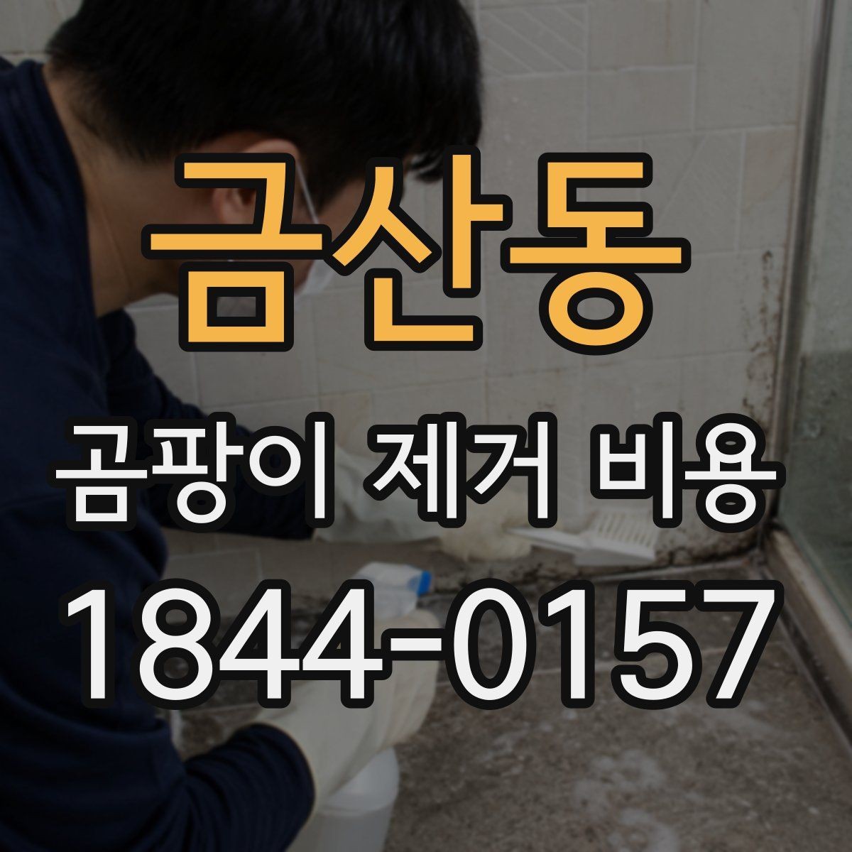 금산동 곰팡이 제거 비용 상가와 주거공간에서 달라지는 작업 방식