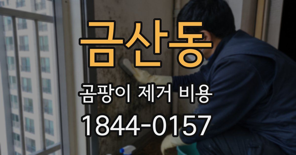 금산동 곰팡이 제거 비용