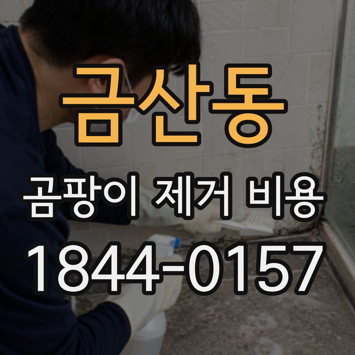 금산동 곰팡이 제거 비용