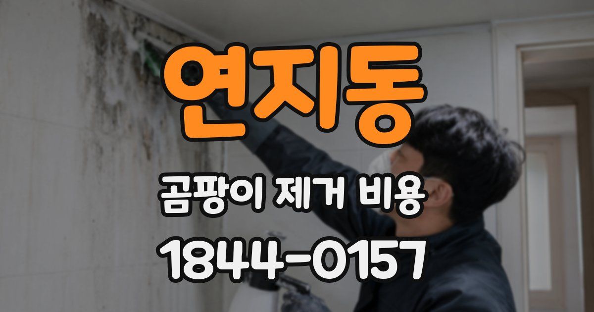 연지동 곰팡이 제거 비용
