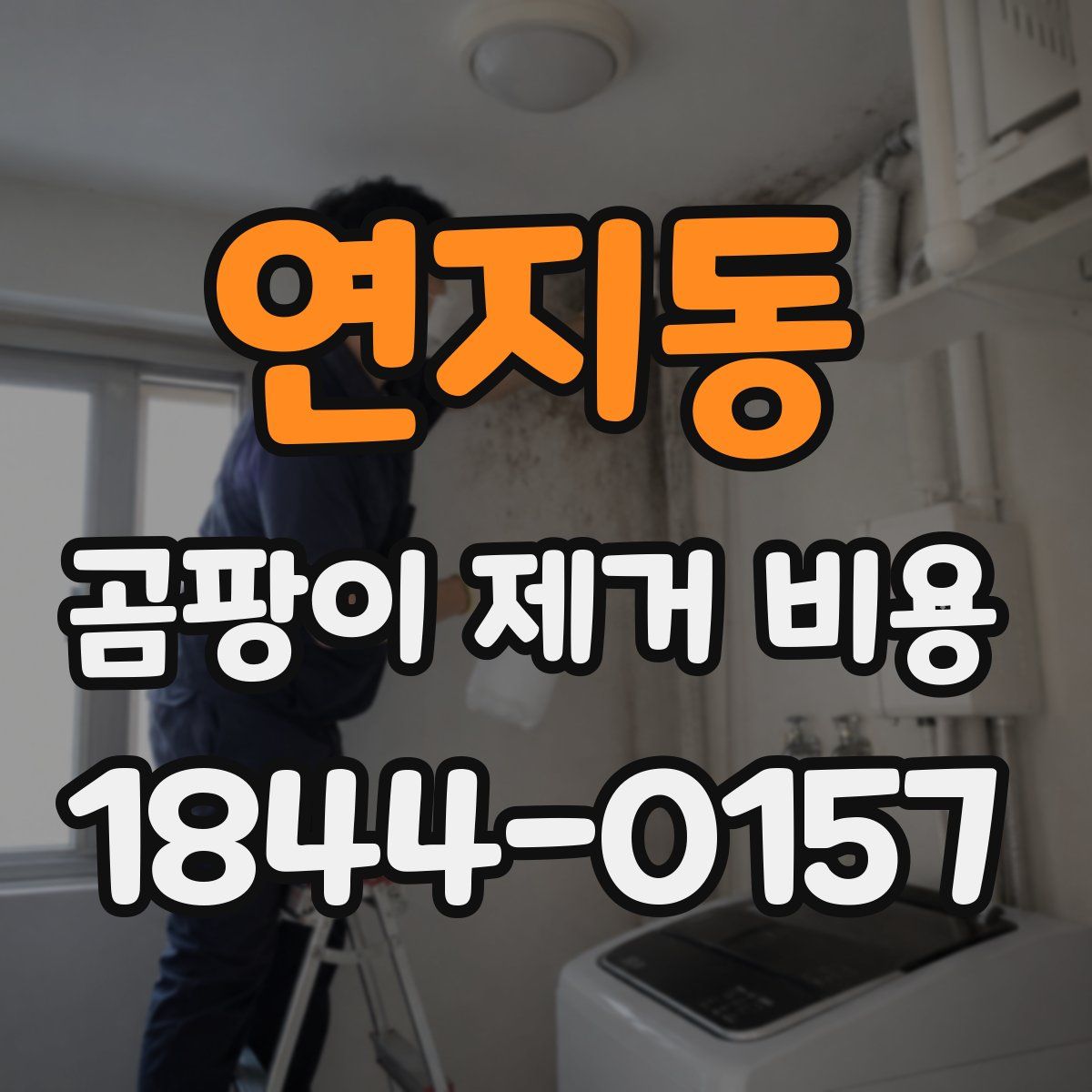 연지동 곰팡이 제거 비용