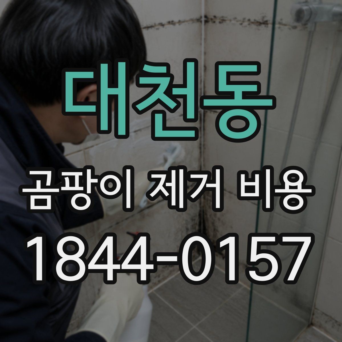 대천동 곰팡이 제거 비용 재발 가능성까지 점검하는 방법