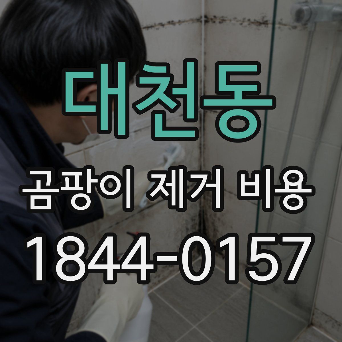 대천동 곰팡이 제거 비용