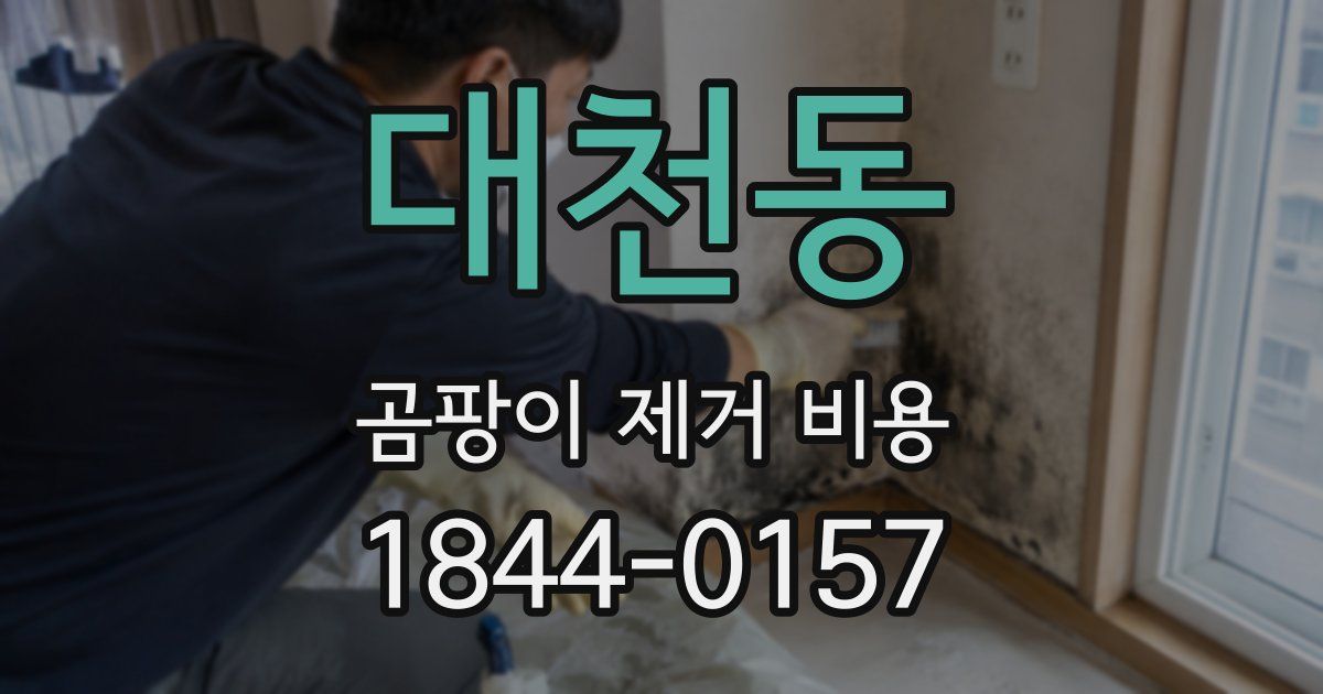 대천동 곰팡이 제거 비용