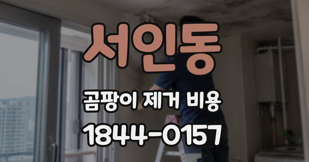 서인동 곰팡이 제거 비용