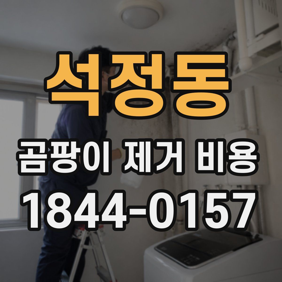 석정동 곰팡이 제거 비용