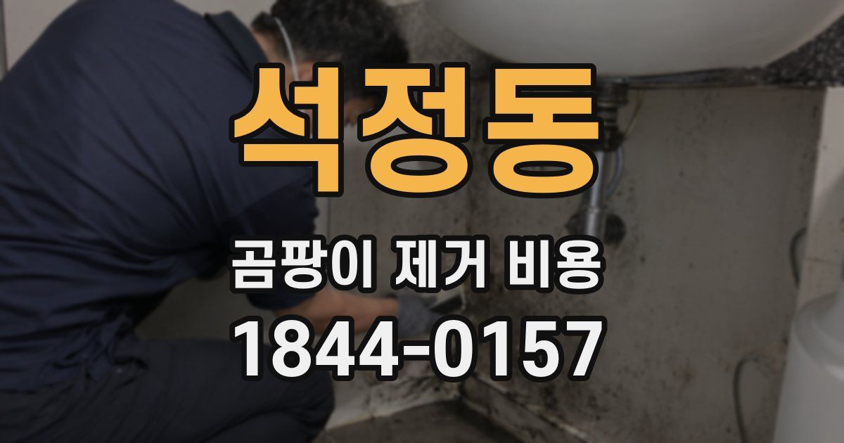 석정동 곰팡이 제거 비용