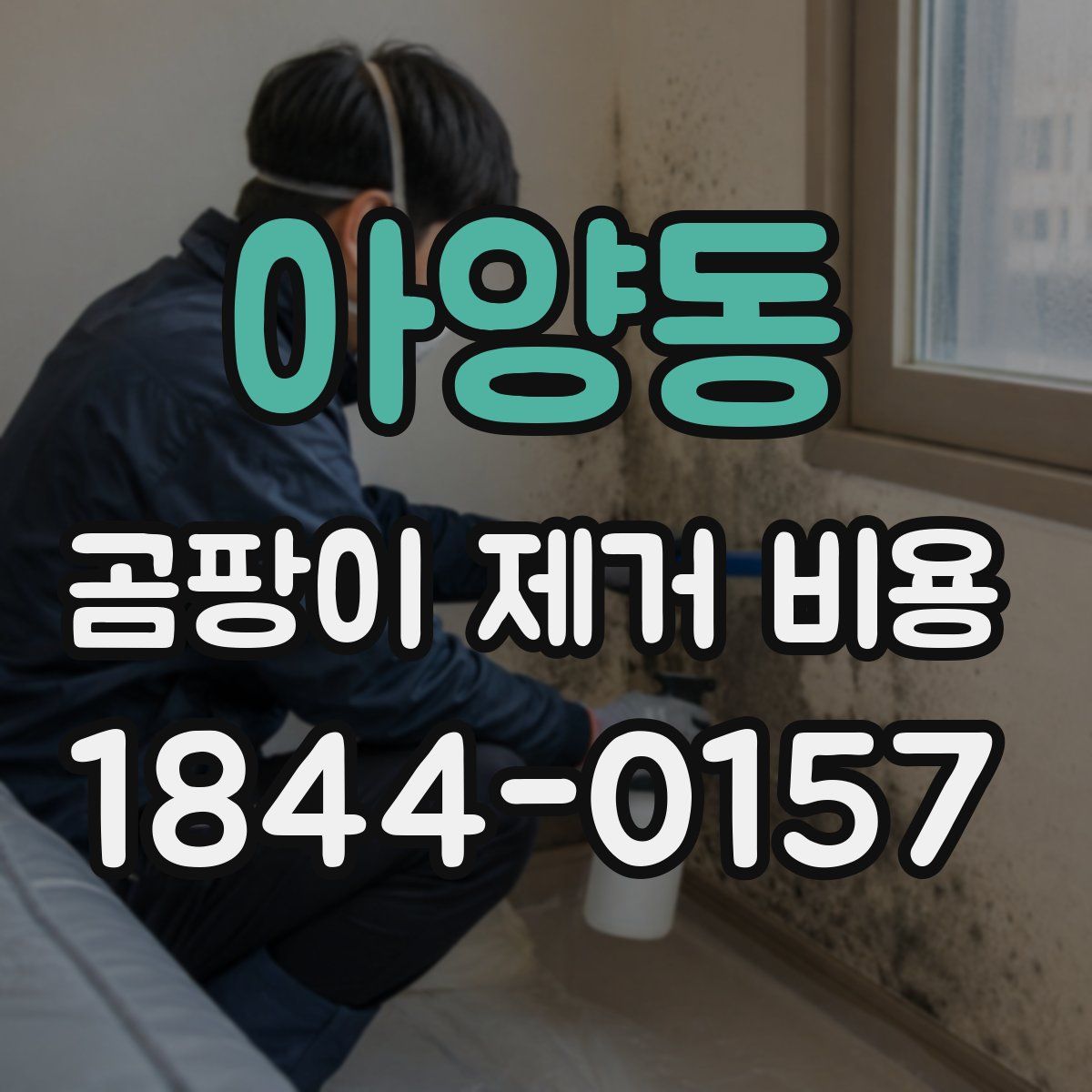 아양동 곰팡이 제거 비용