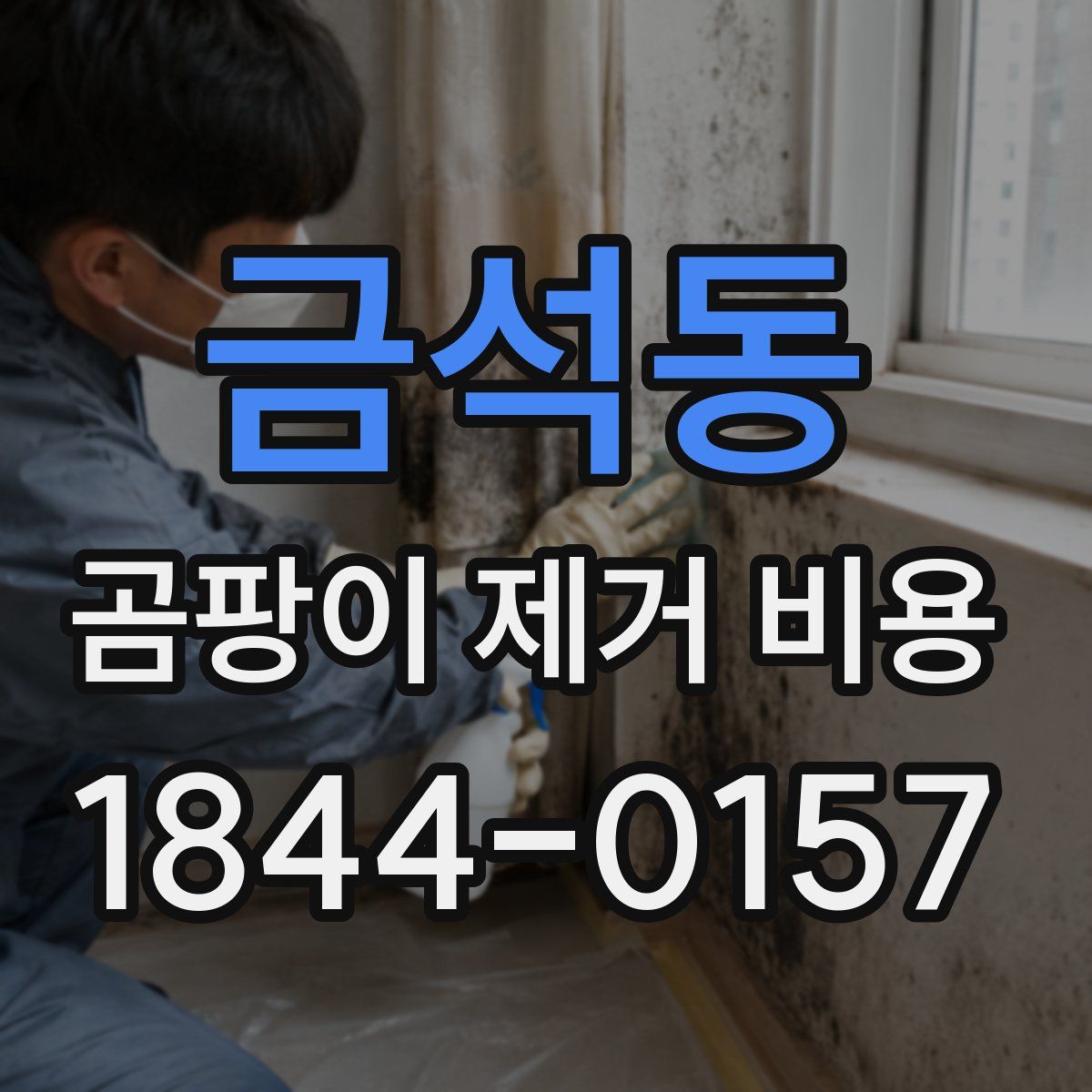 금석동 곰팡이 제거 비용