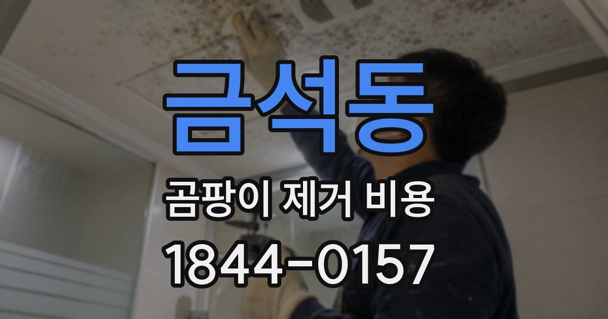 금석동 곰팡이 제거 비용