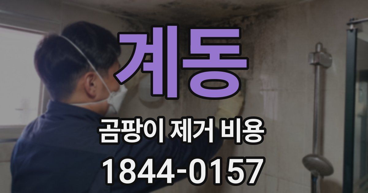 계동 곰팡이 제거 비용