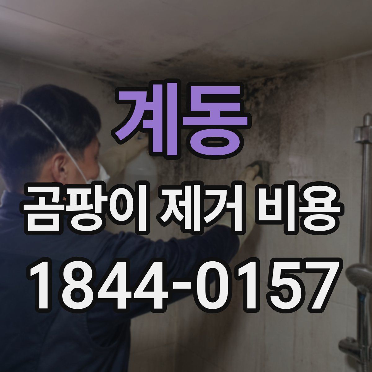 계동 곰팡이 제거 비용
