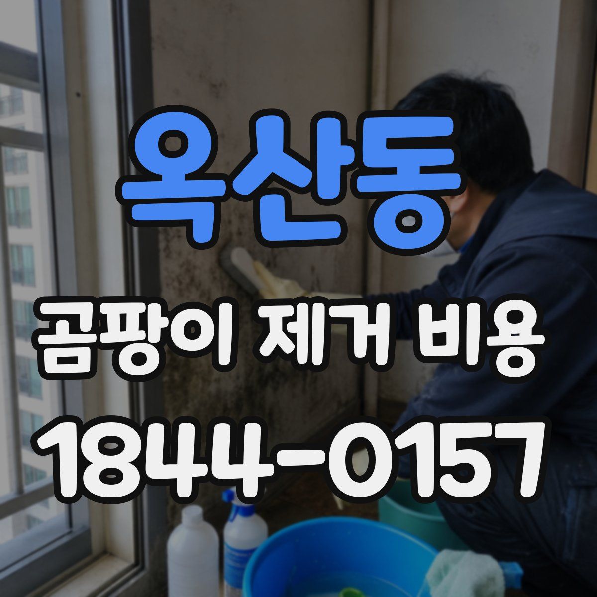 옥산동 곰팡이 제거 비용