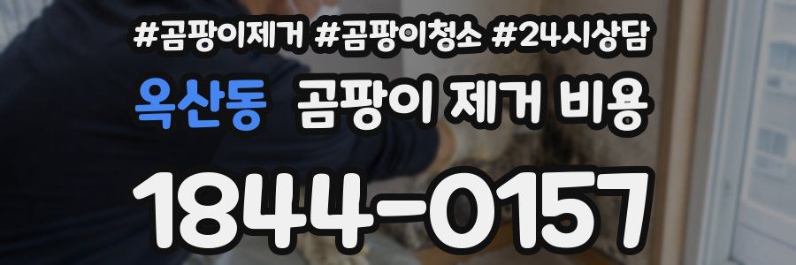 옥산동 곰팡이 제거 비용