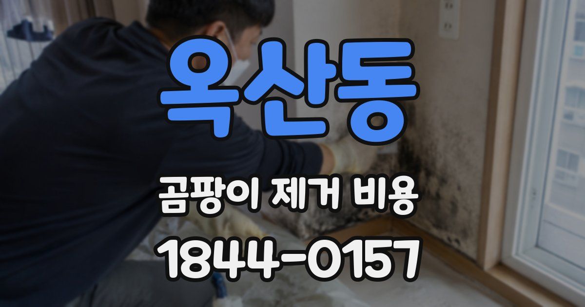 옥산동 곰팡이 제거 비용