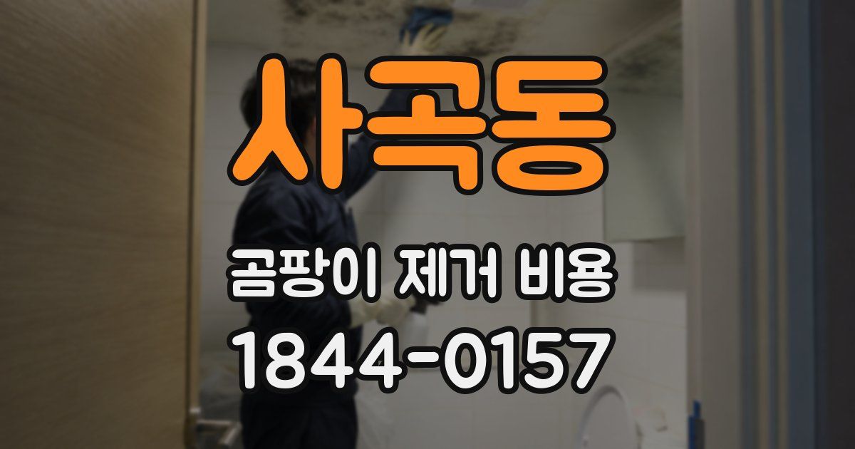 사곡동 곰팡이 제거 비용