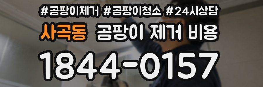 사곡동 곰팡이 제거 비용