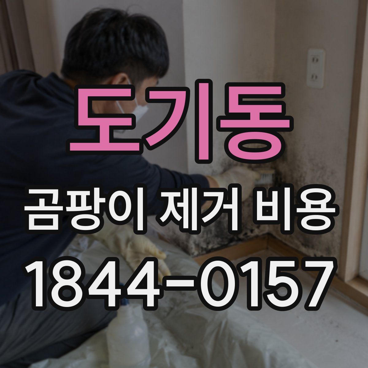 도기동 곰팡이 제거 비용