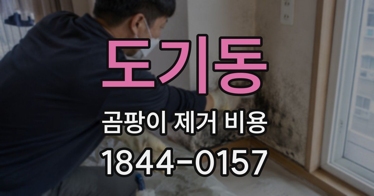 도기동 곰팡이 제거 비용