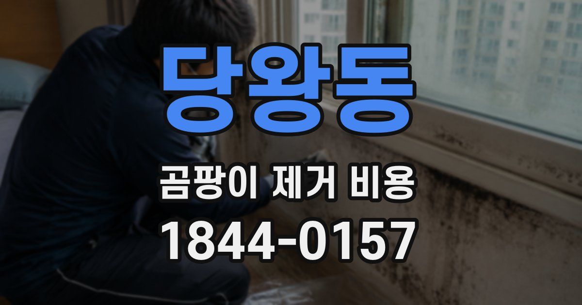당왕동 곰팡이 제거 비용