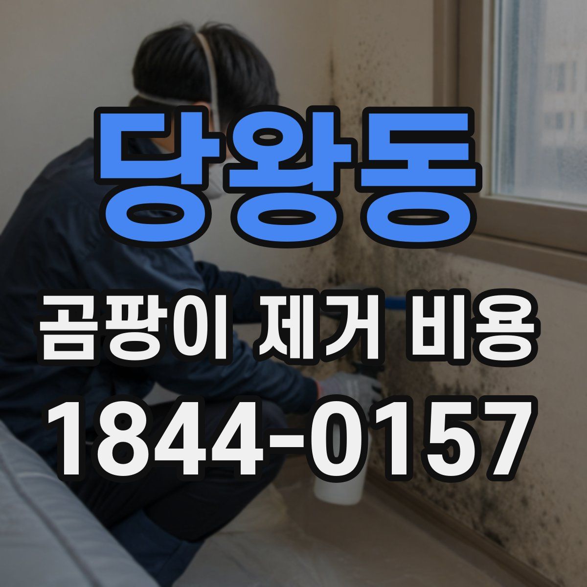 당왕동 곰팡이 제거 비용