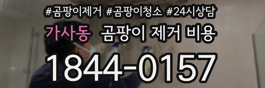가사동 곰팡이 제거 비용