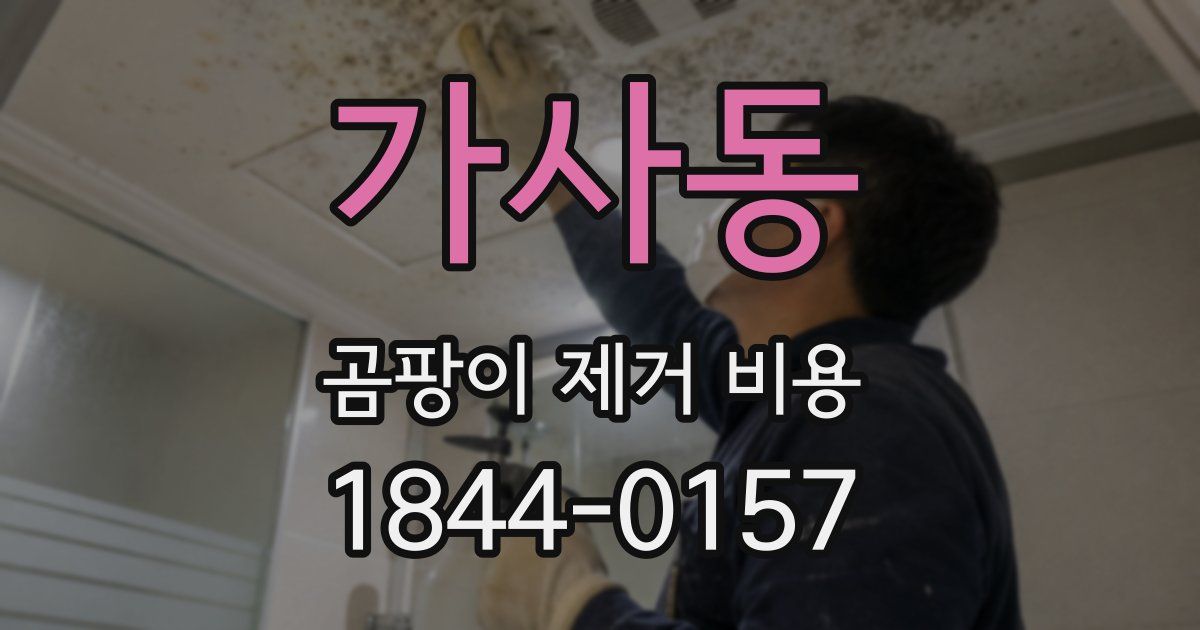 가사동 곰팡이 제거 비용