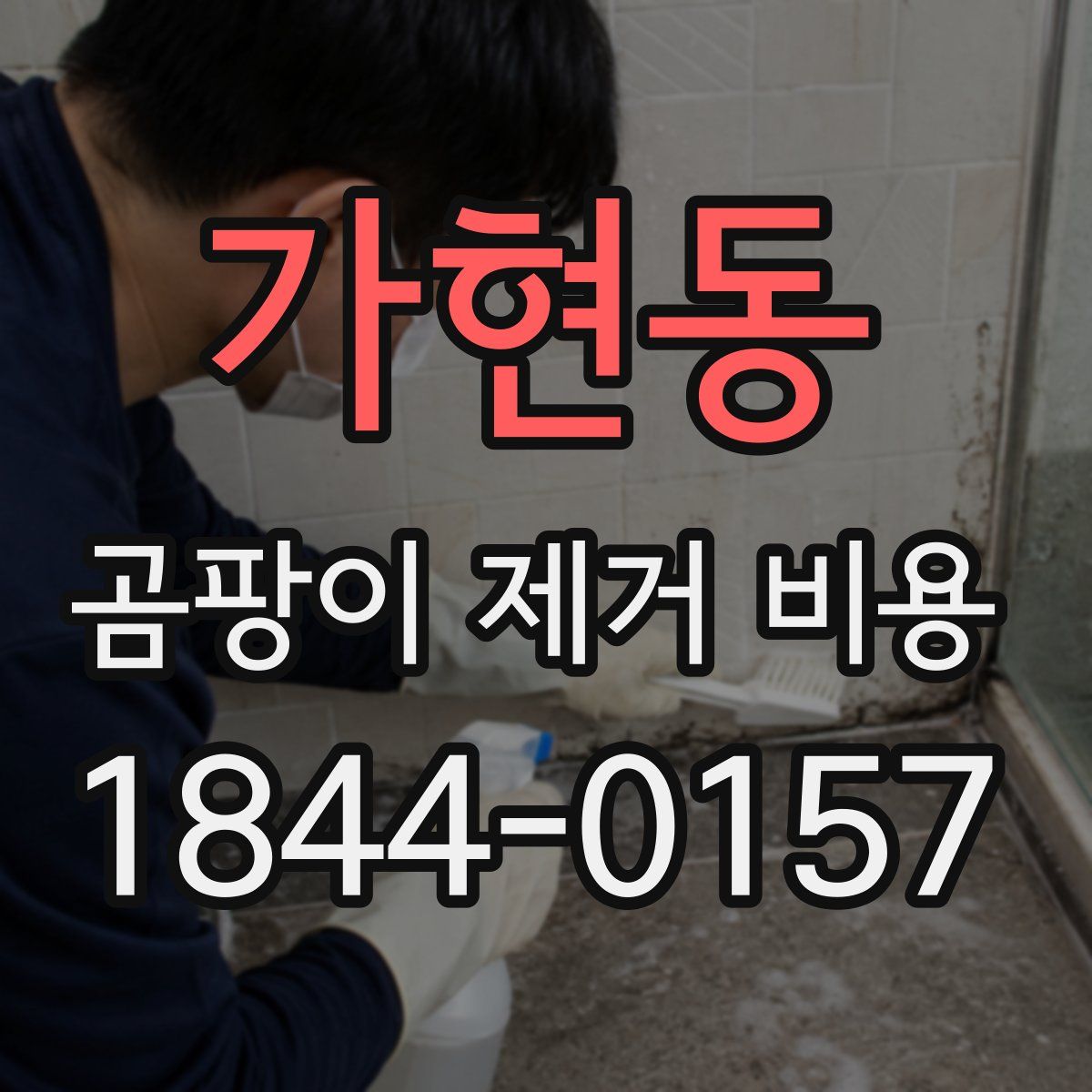 가현동 곰팡이 제거 비용