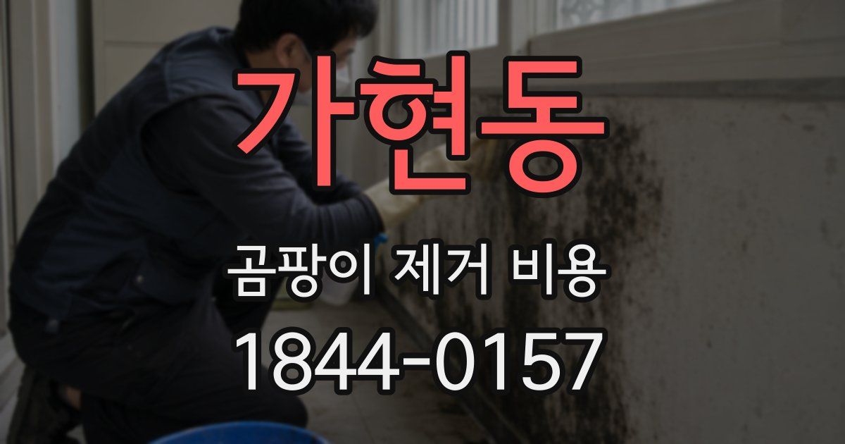 가현동 곰팡이 제거 비용