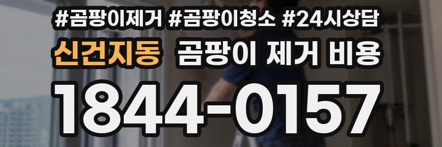 신건지동 곰팡이 제거 비용