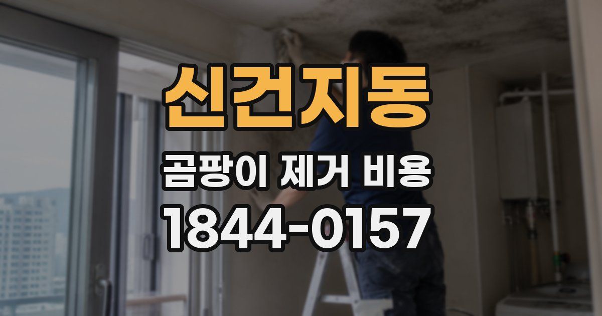 신건지동 곰팡이 제거 비용
