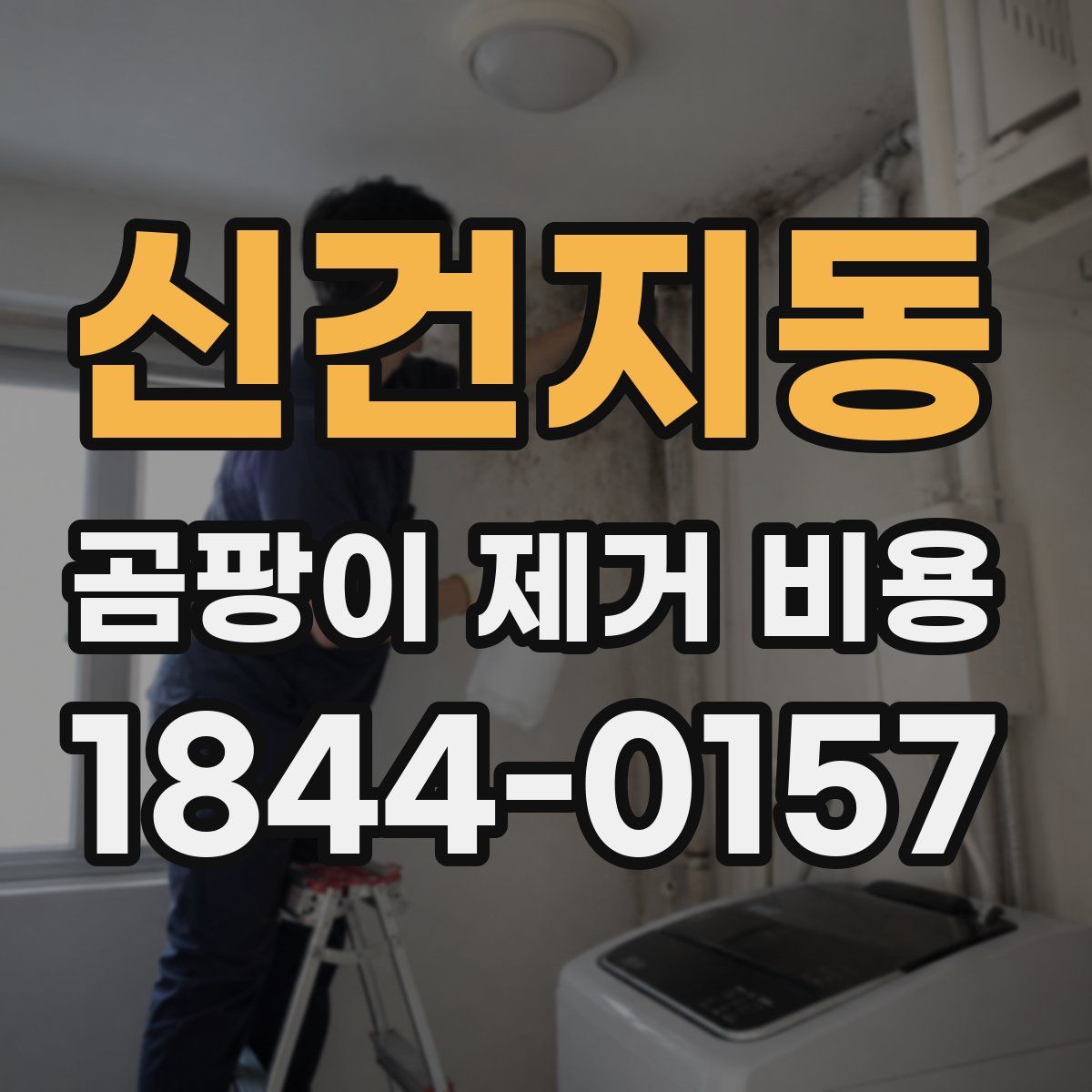 신건지동 곰팡이 제거 비용
