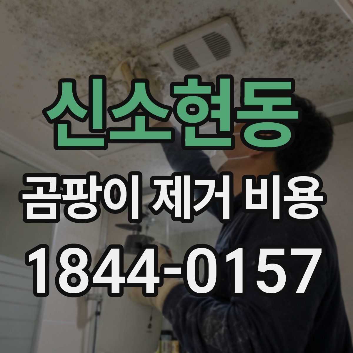 신소현동 곰팡이 제거 비용