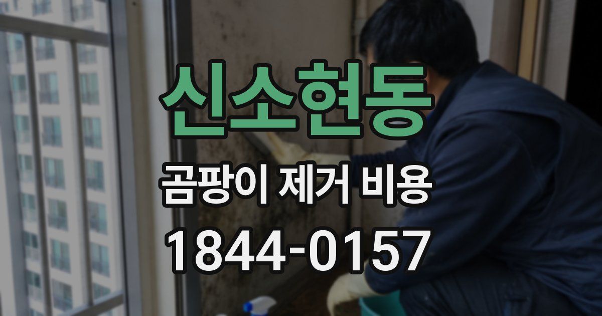 신소현동 곰팡이 제거 비용