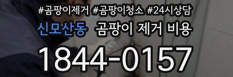 신모산동 곰팡이 제거 비용