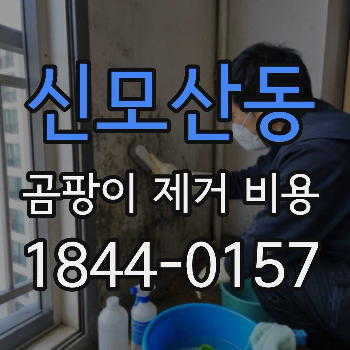 신모산동 곰팡이 제거 비용