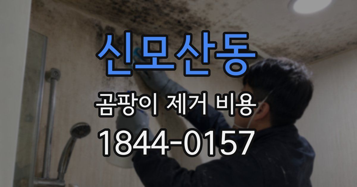 신모산동 곰팡이 제거 비용