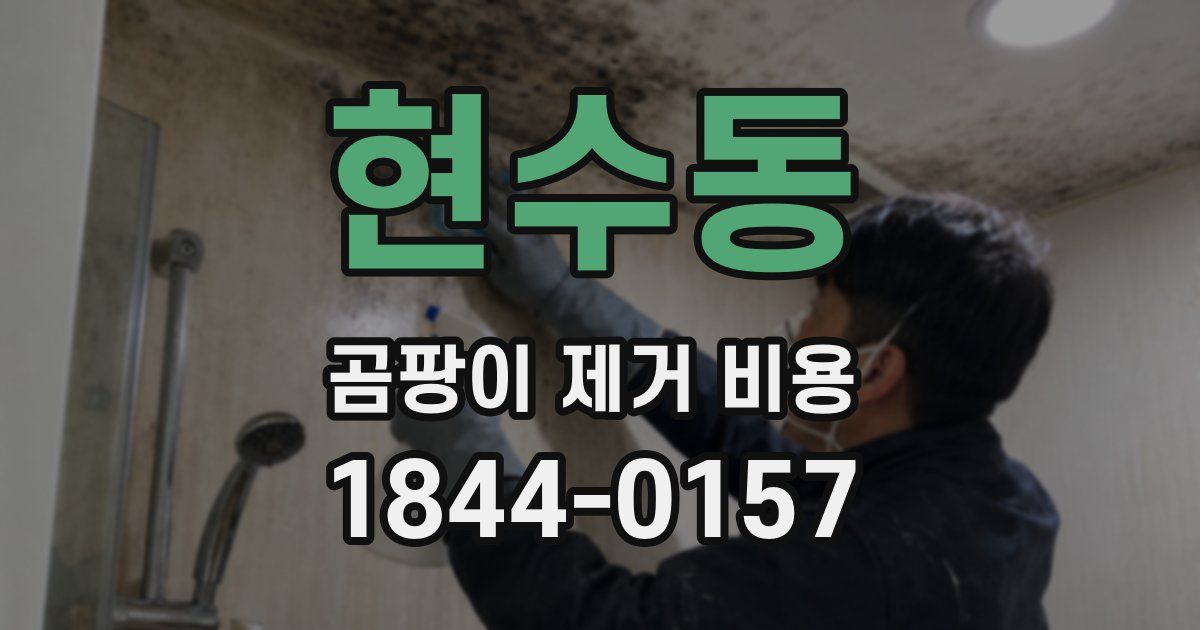 현수동 곰팡이 제거 비용