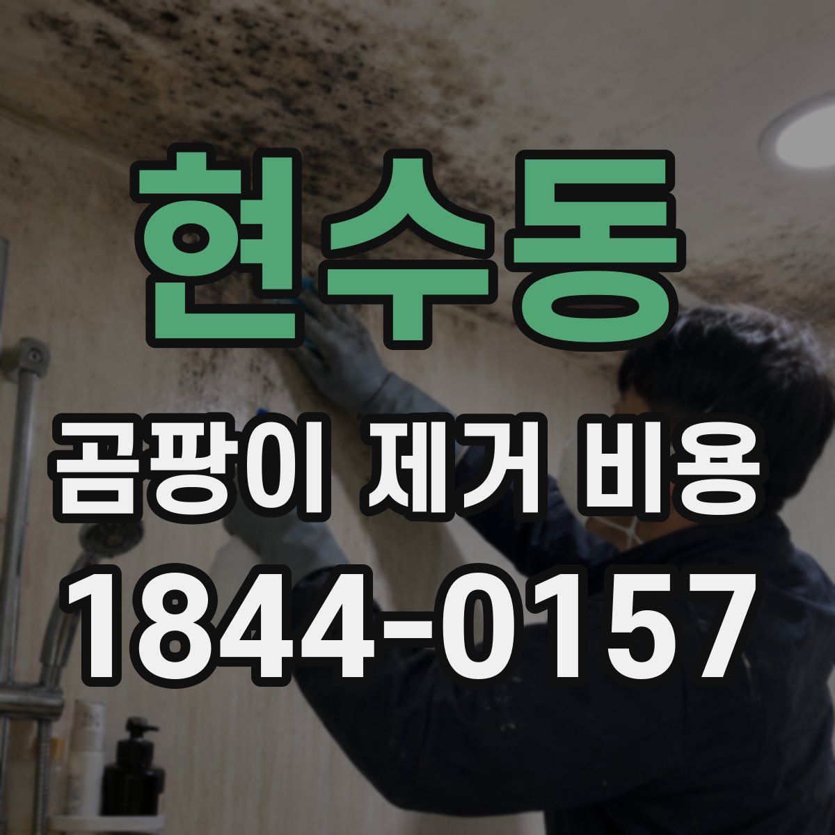 현수동 곰팡이 제거 비용