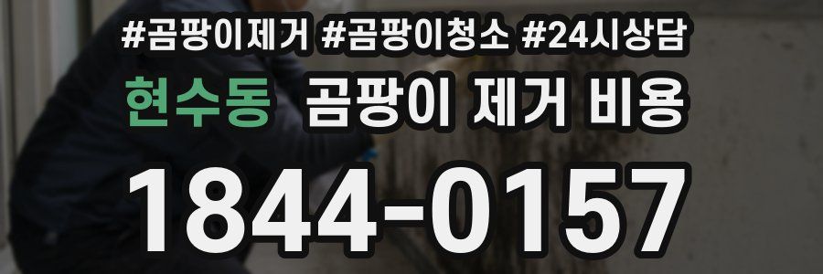 현수동 곰팡이 제거 비용