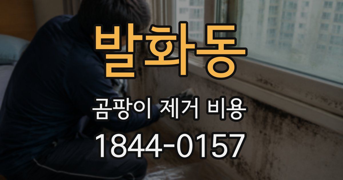 발화동 곰팡이 제거 비용
