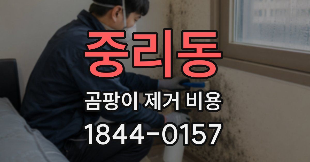 중리동 곰팡이 제거 비용