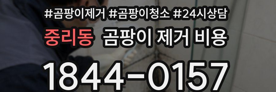 중리동 곰팡이 제거 비용