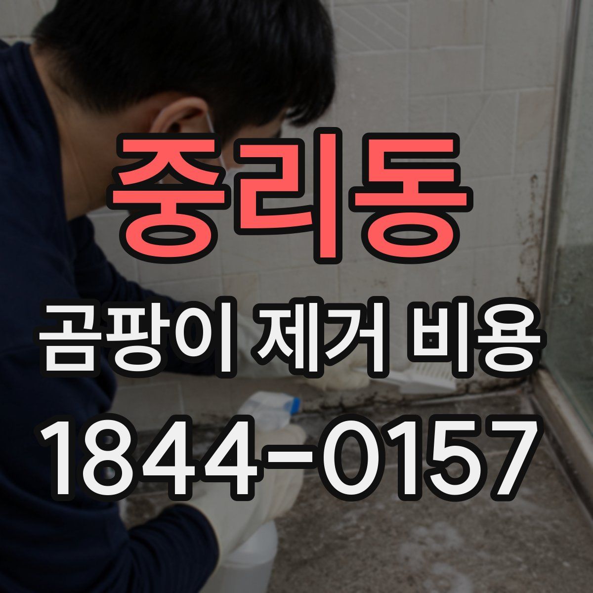 중리동 곰팡이 제거 비용