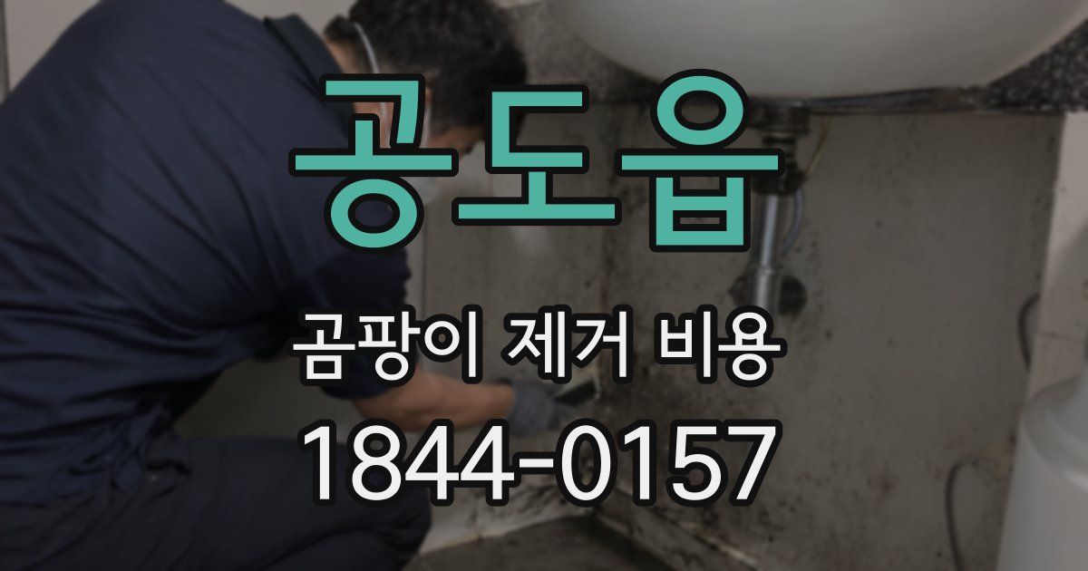 공도읍 곰팡이 제거 비용